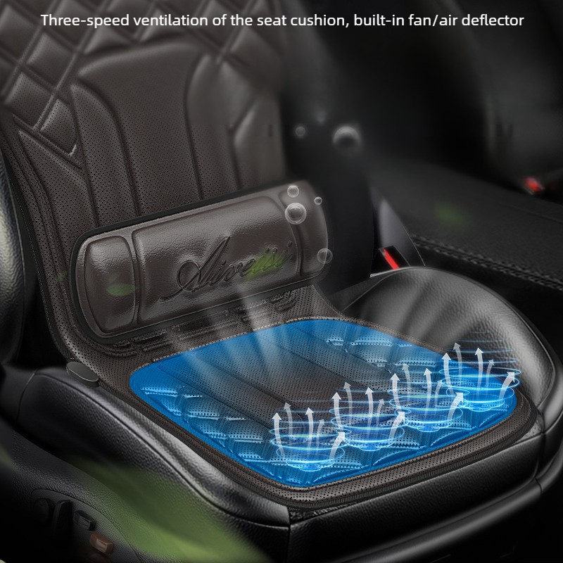 Multifunktionales Auto-Massage – Mesh Back Cushion Bewertung und Preis